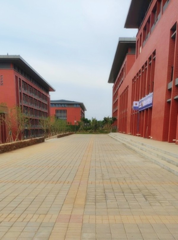 洛陽(yáng)職業(yè)技術(shù)學(xué)院透水磚工程案例-施工效果展示 洛陽(yáng)職業(yè)技術(shù)學(xué)院透水磚工程案例-施工效果展示